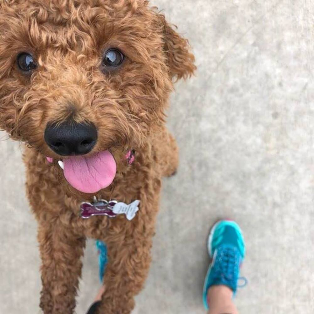 Meet your Posher, Karen